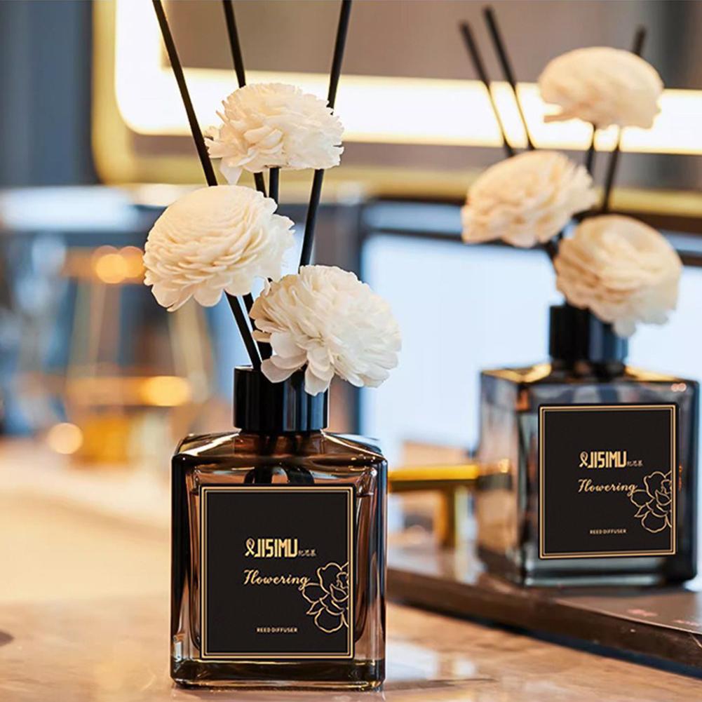 Home Fragrance Brand - Decoração de sala de aromaterapia sem