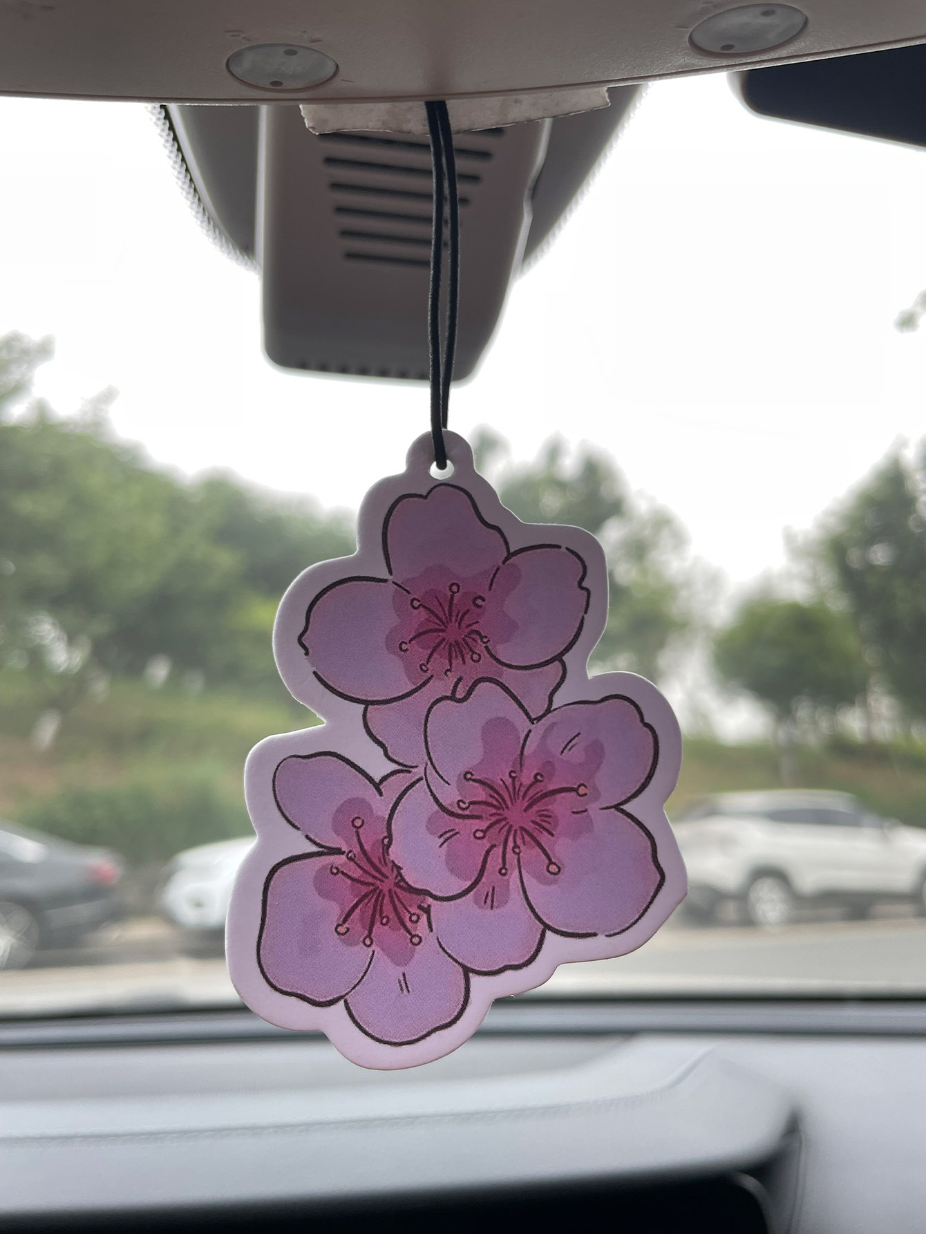 Home Fragrance Brand - Perfume de Carro Neutro com Fragrância