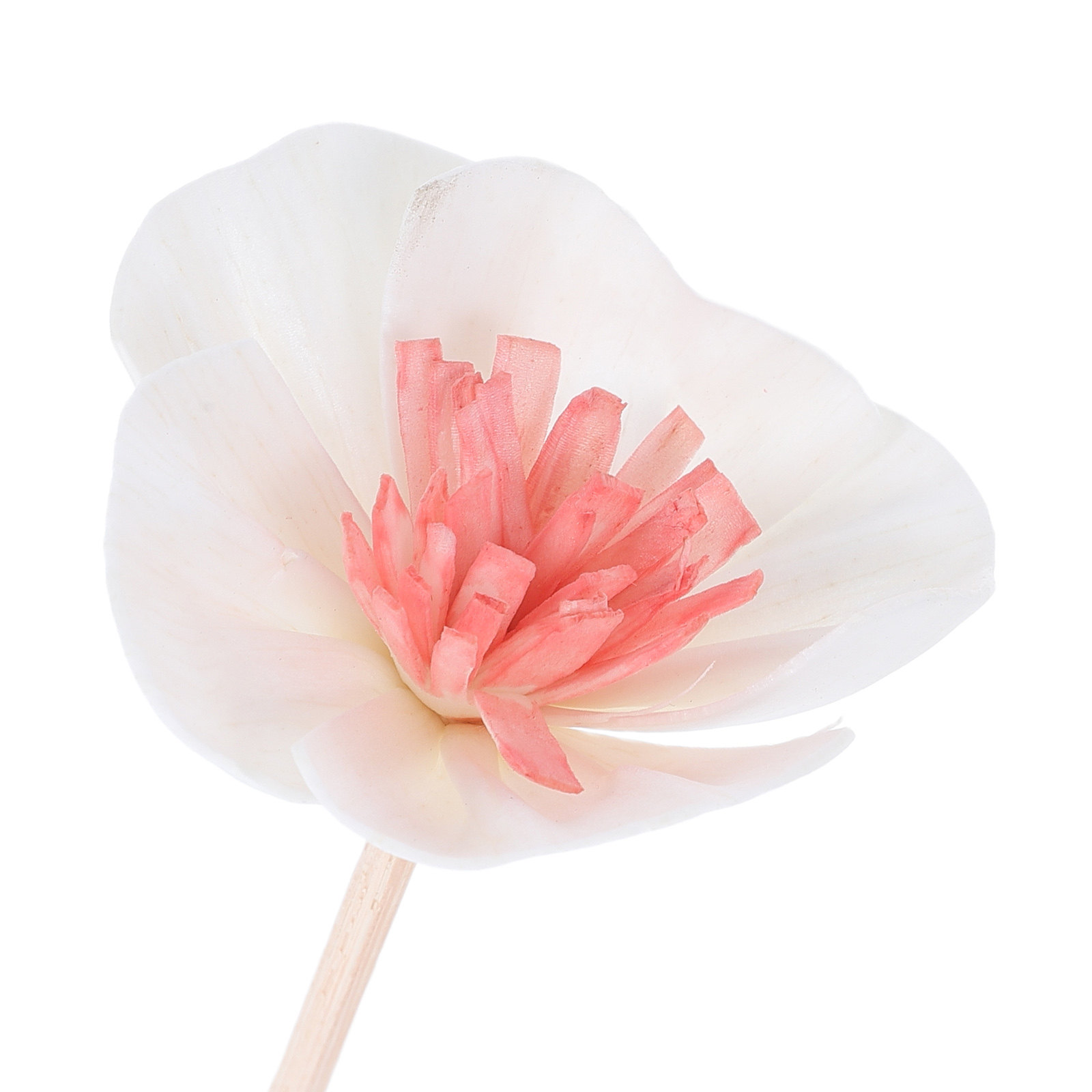 10 Peças de Varetas Difusoras  - Home Fragrance Essential Oils avaliação e preço