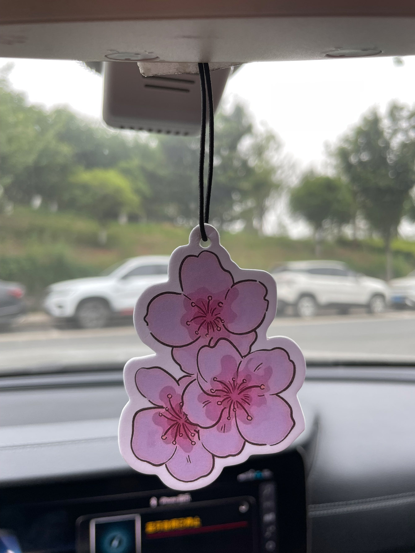 Perfume de Carro Neutro com Fr - Home Fragrance Brand avaliação e preço